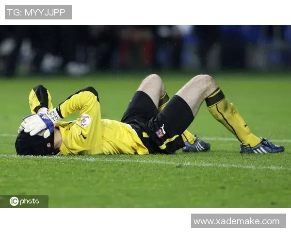 足球明星范佩琪的传奇人生与职业生涯回顾