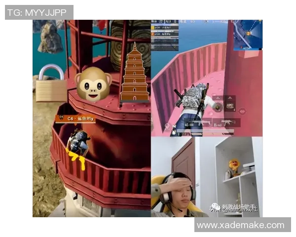 刘静专访：回顾和平精英历程