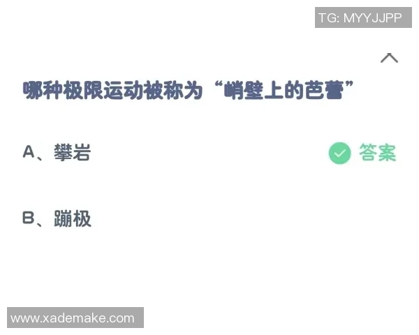 独家分析：西安极限运动队的灵活性对比